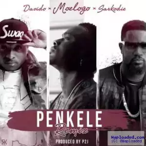 Moelogo - Penkele (Remix) ft. Davido & Sarkodie